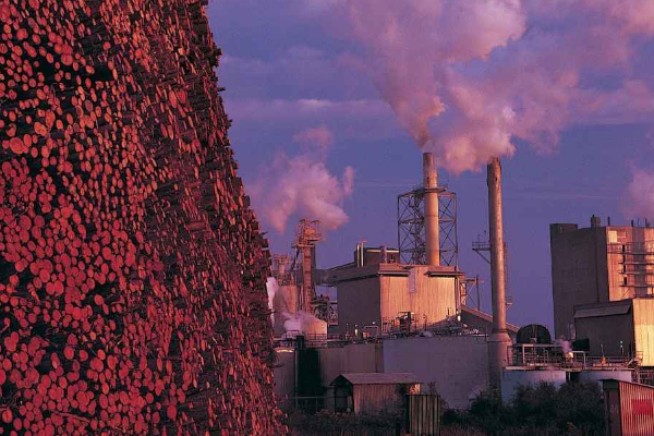 How AI speeds up pulp and paper mill production blog thumbnail Pulp and Paper mill at dusk